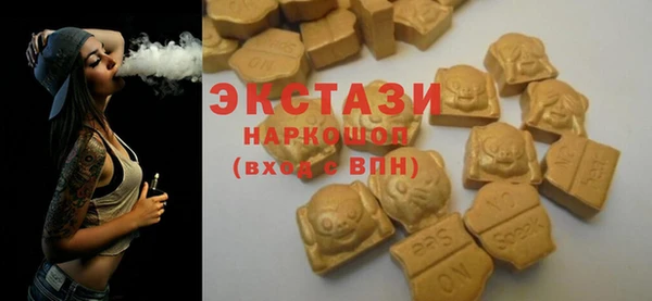 ECSTASY Богородицк